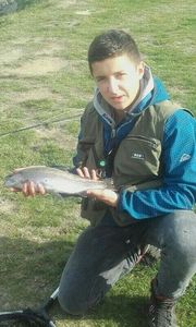 Rainbow Trout