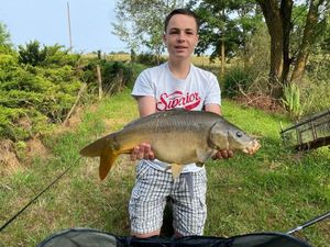 Mirror Carp
