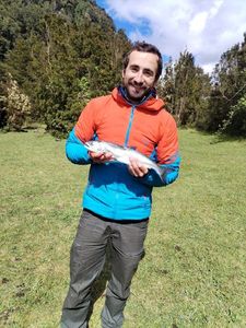 Atlantic Salmon