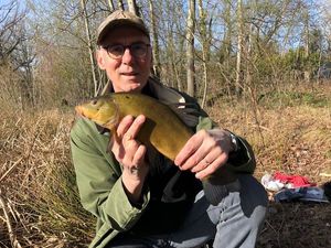 Tench