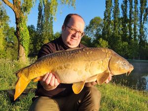 Mirror Carp