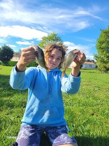 European Perch