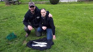 Rainbow Trout
