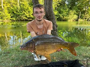 Mirror Carp