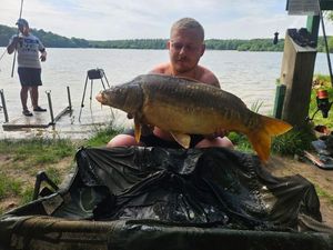 Mirror Carp