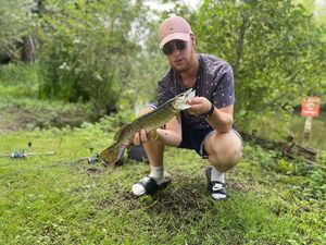 Northern Pike