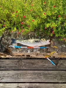 European Bass (Seabass)