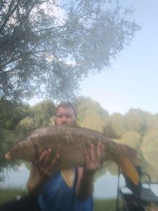 Mirror Carp