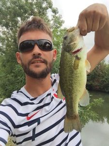 Smallmouth Bass