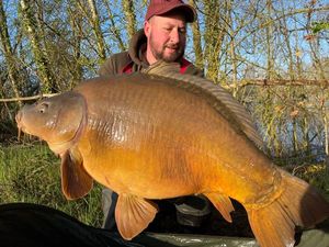 Mirror Carp
