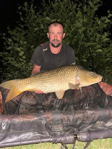 Common Carp