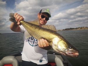 Zander