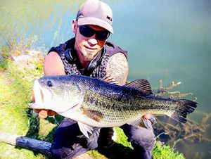 Largemouth Bass