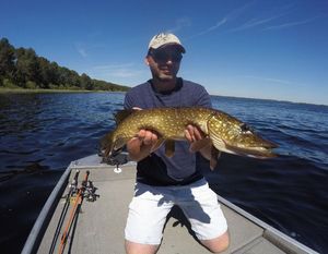 Northern Pike