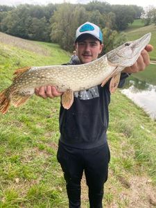 Northern Pike