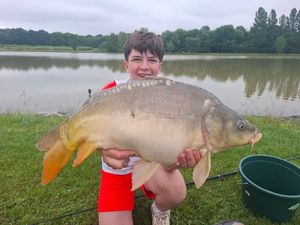 Mirror Carp