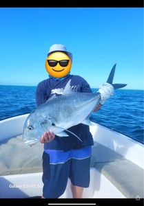 Giant Trevally (GT)