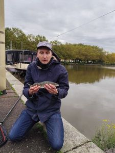 Zander