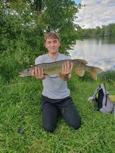 Northern Pike