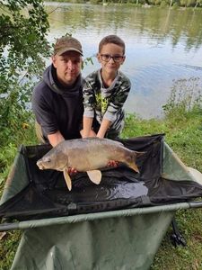 Mirror Carp