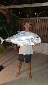 African Pompano