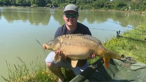 Mirror Carp