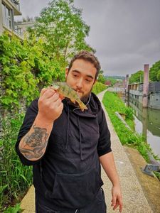 European Perch