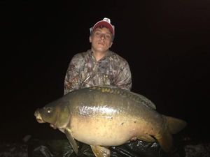 Mirror Carp