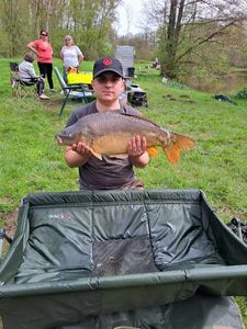 Mirror Carp