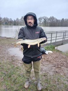 Northern Pike