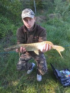 Northern Pike