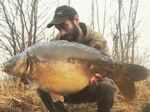 Mirror Carp