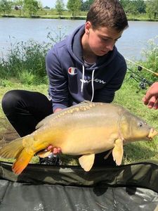 Mirror Carp