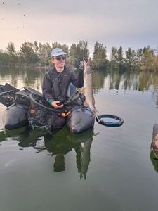 Northern Pike