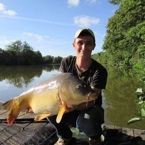 Mirror Carp