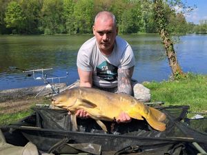 Common Carp