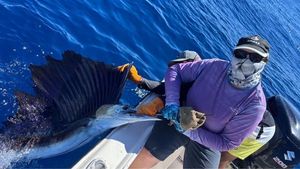 Pacific Sailfish
