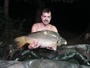 Leather Carp