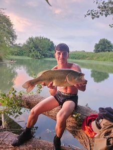 Largemouth Bass