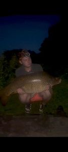 Common Carp