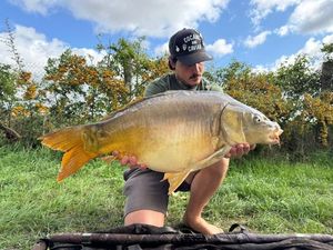 Mirror Carp