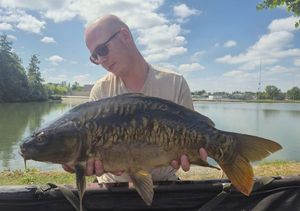 Mirror Carp