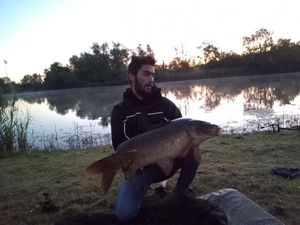 Common Carp