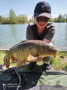Mirror Carp