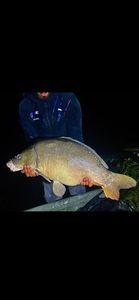 Leather Carp