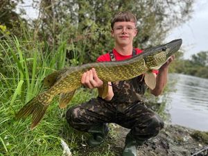 Northern Pike