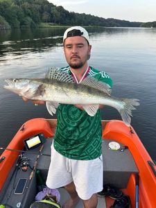 Zander