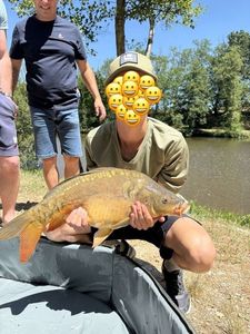 Mirror Carp
