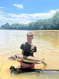 Sturgeon