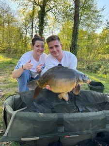 Mirror Carp